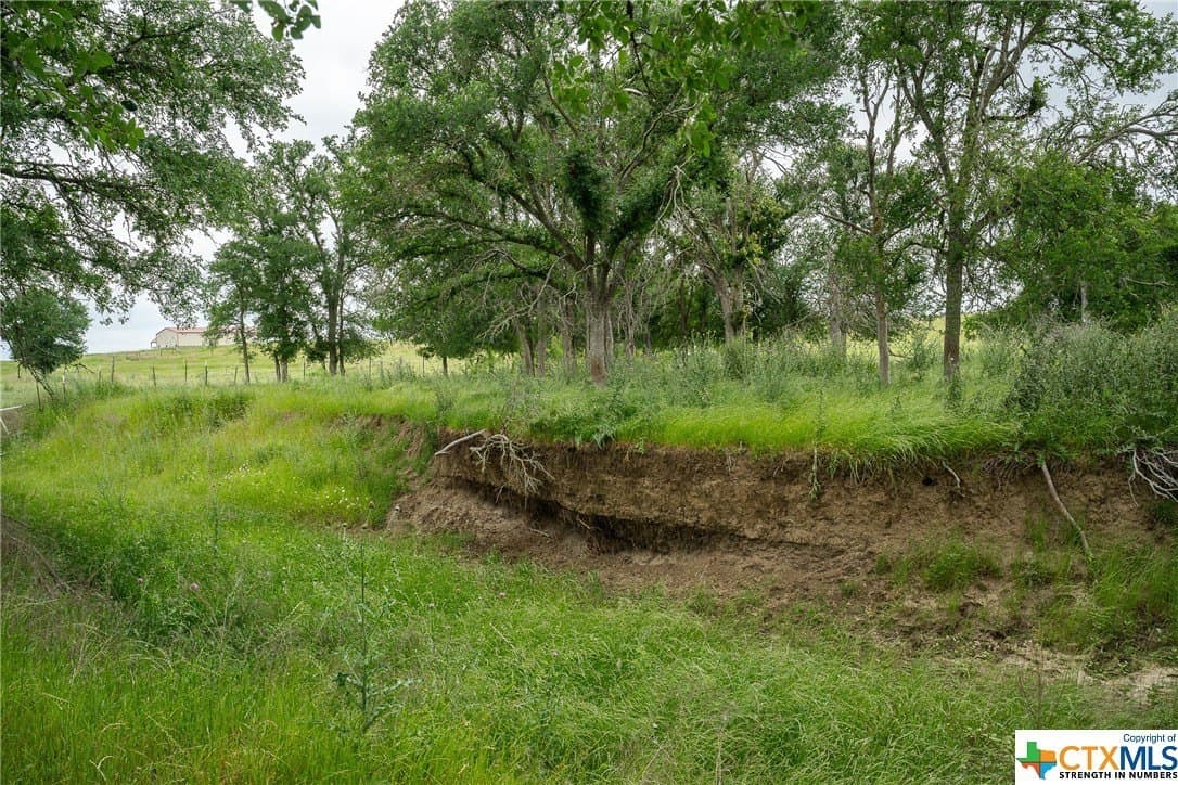 83.23 acres in Williamson County - photo 18