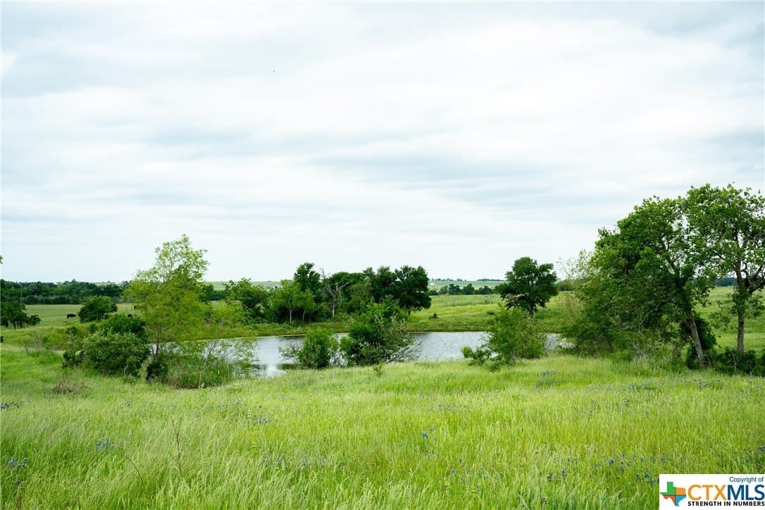 83.23 acres in Williamson County - photo 29