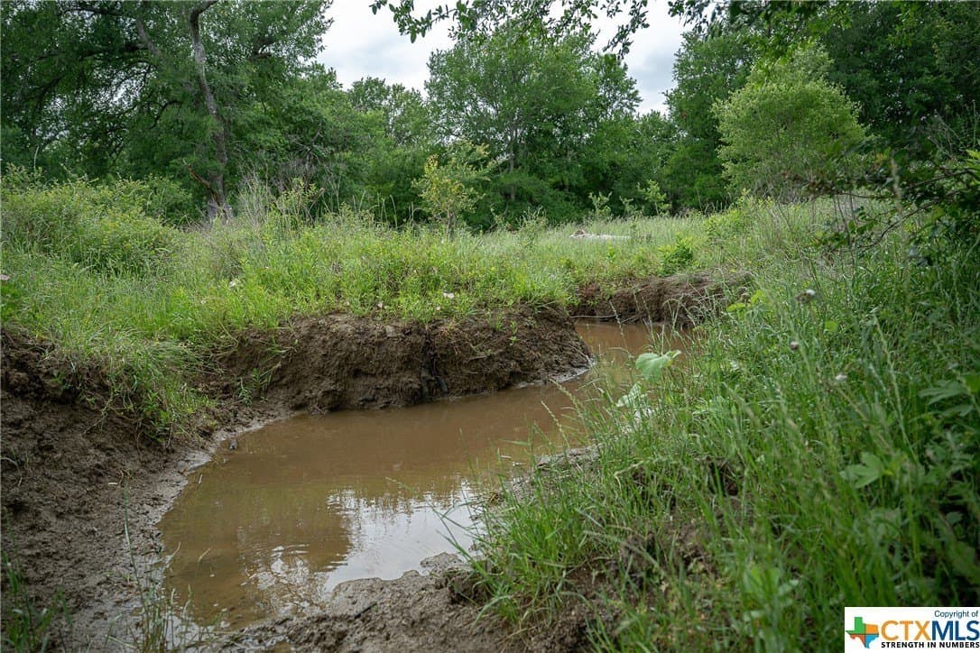 83.23 acres in Williamson County - photo 17