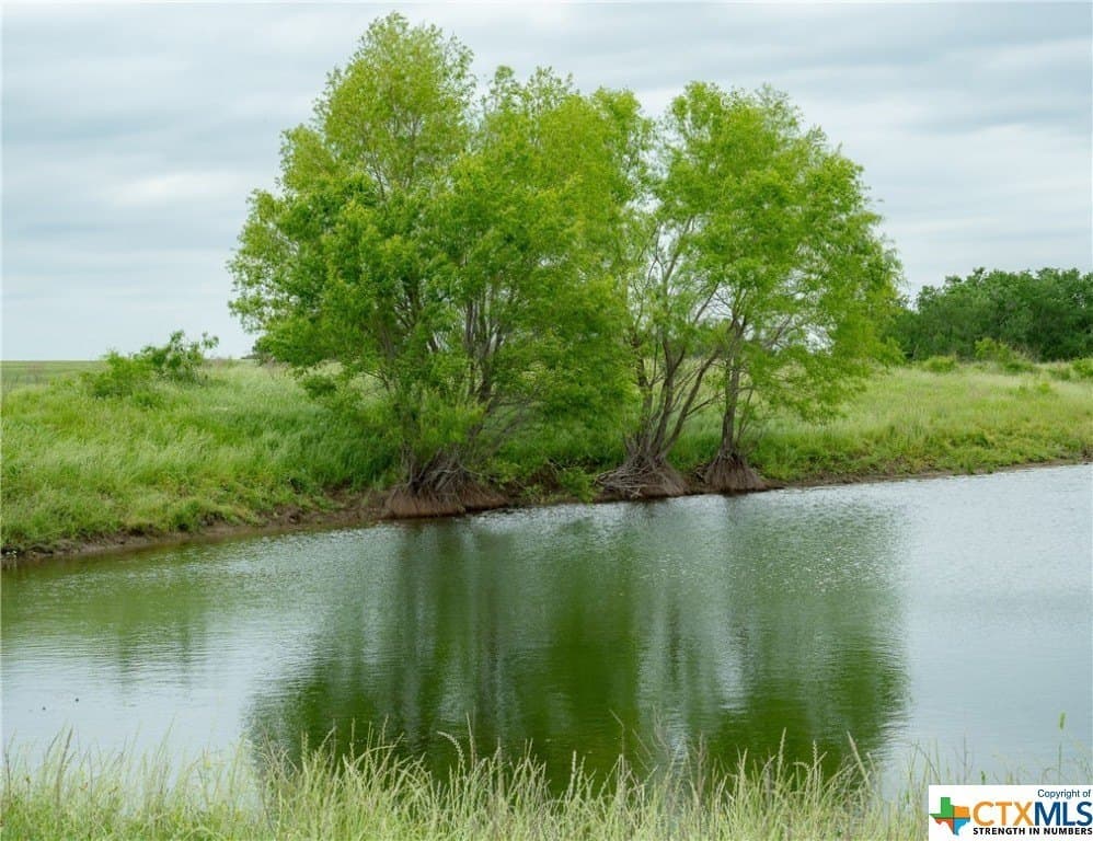 83.23 acres in Williamson County - photo 31
