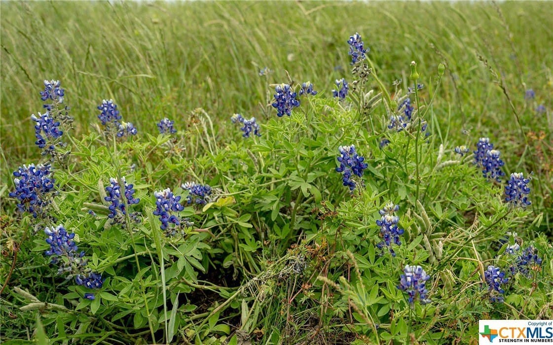 83.23 acres in Williamson County - photo 27