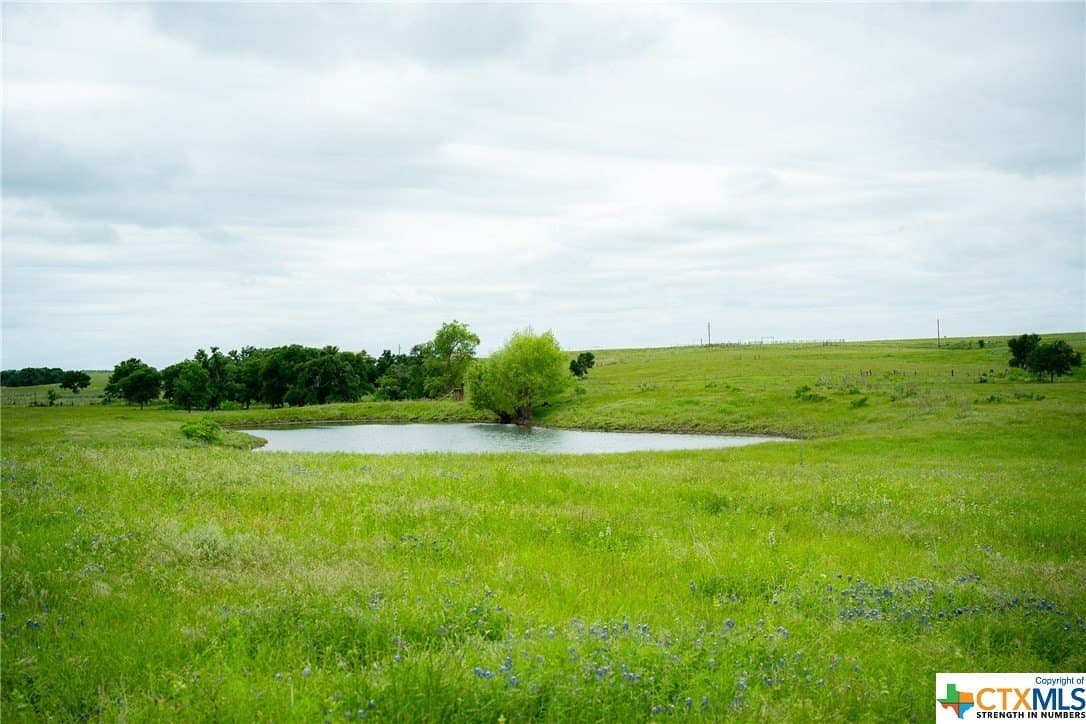 83.23 acres in Williamson County - photo 34