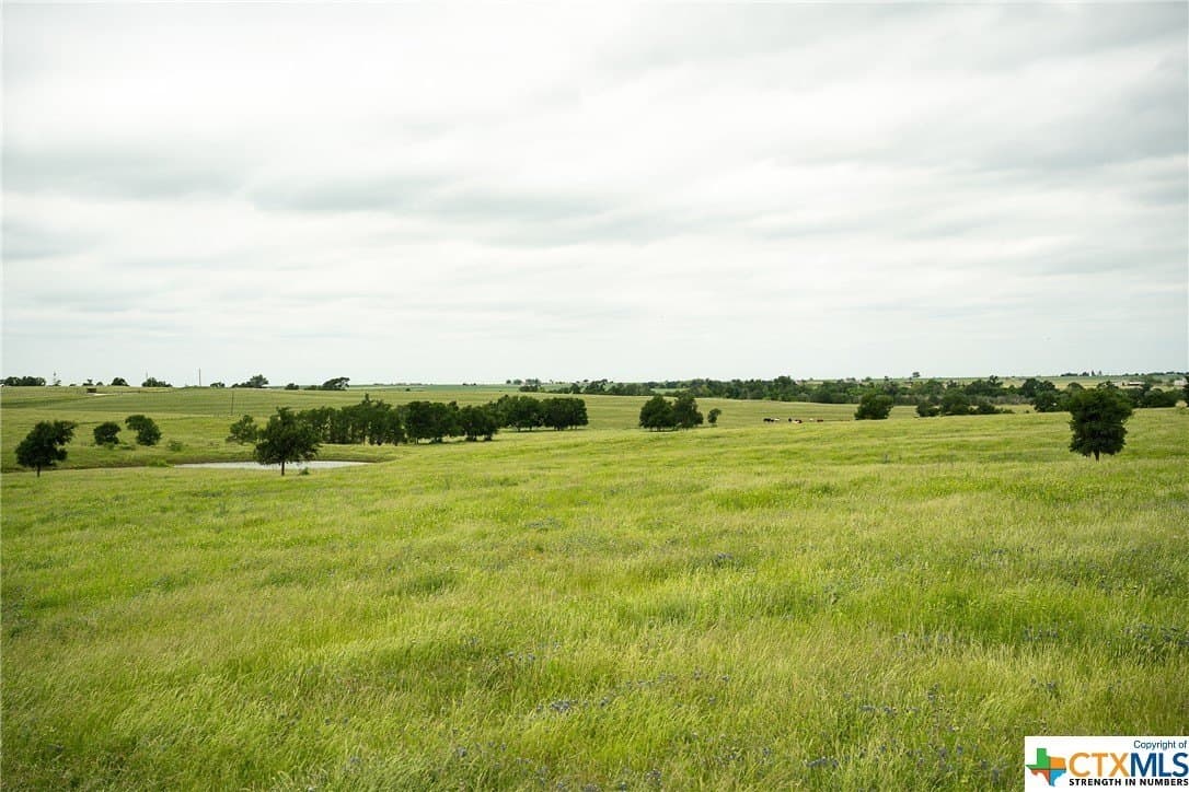 83.23 acres in Williamson County - photo 43