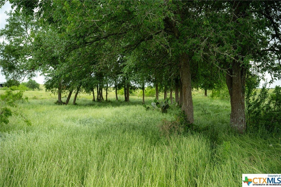 83.23 acres in Williamson County - photo 46