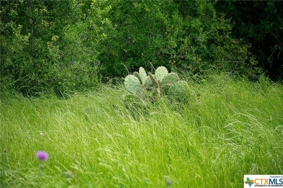 83.23 acres in Williamson County - photo 26