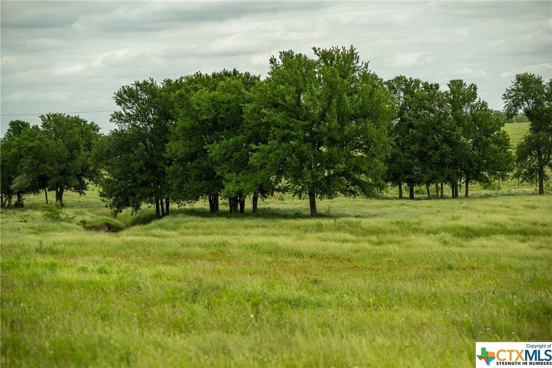 83.23 acres in Williamson County - photo 19