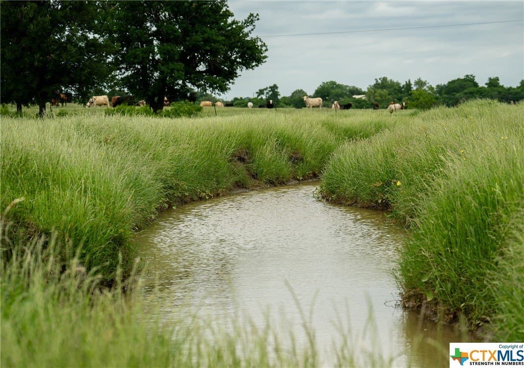 83.23 acres in Williamson County - photo 20