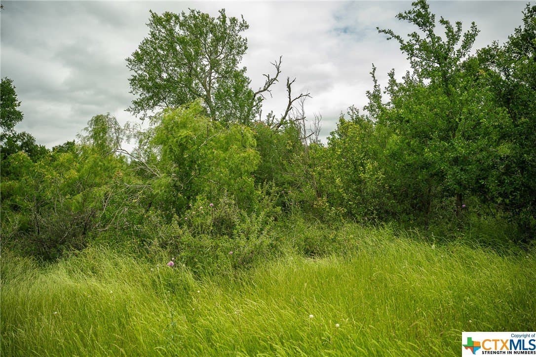 83.23 acres in Williamson County - photo 45