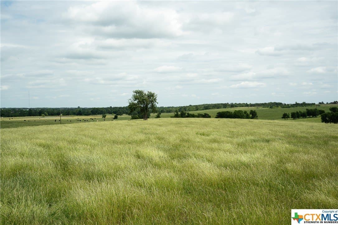 83.23 acres in Williamson County - photo 41