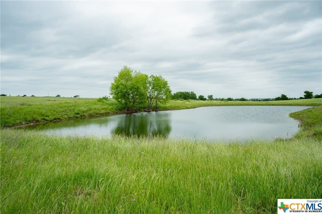 83.23 acres in Williamson County - photo 30