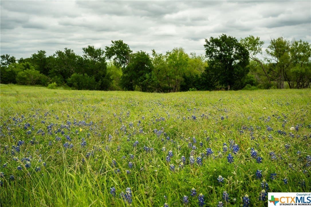 83.23 acres in Williamson County - photo 44