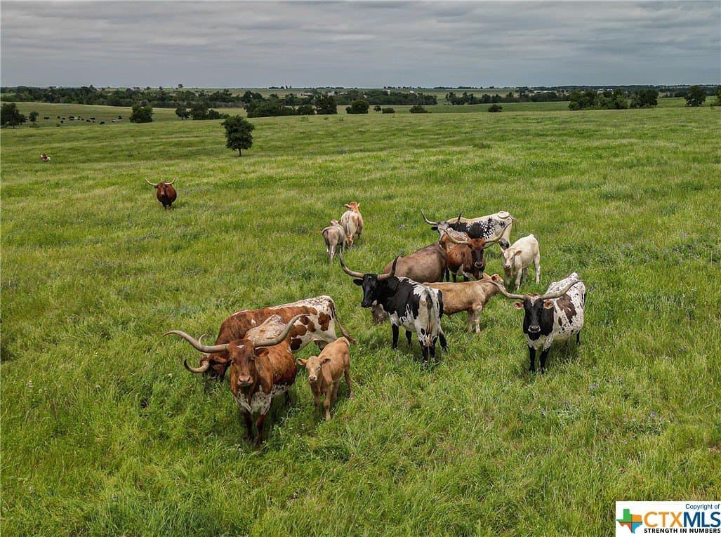 83.23 acres in Williamson County - photo 13