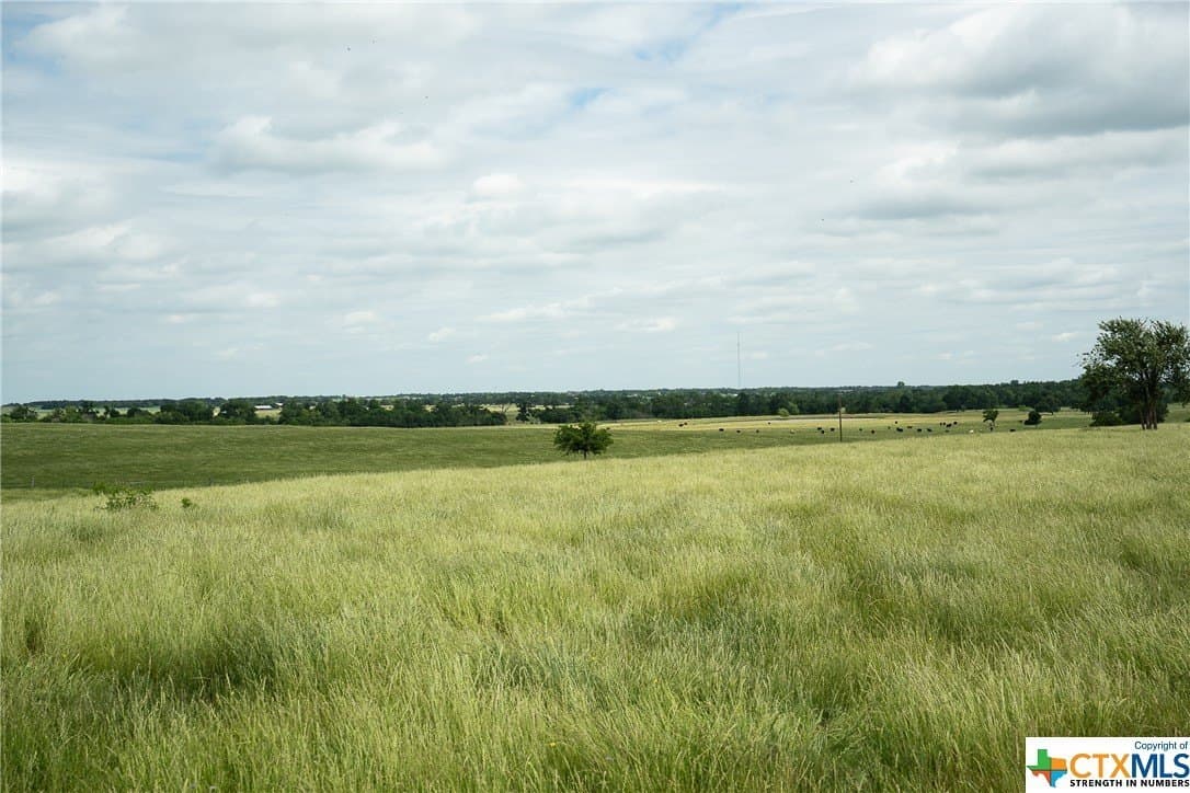 83.23 acres in Williamson County - photo 40