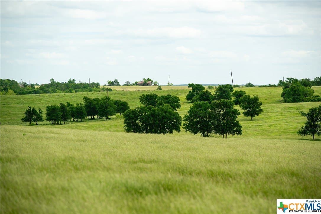 83.23 acres in Williamson County - photo 42