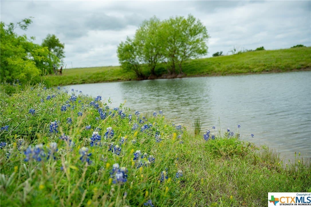 83.23 acres in Williamson County - photo 36