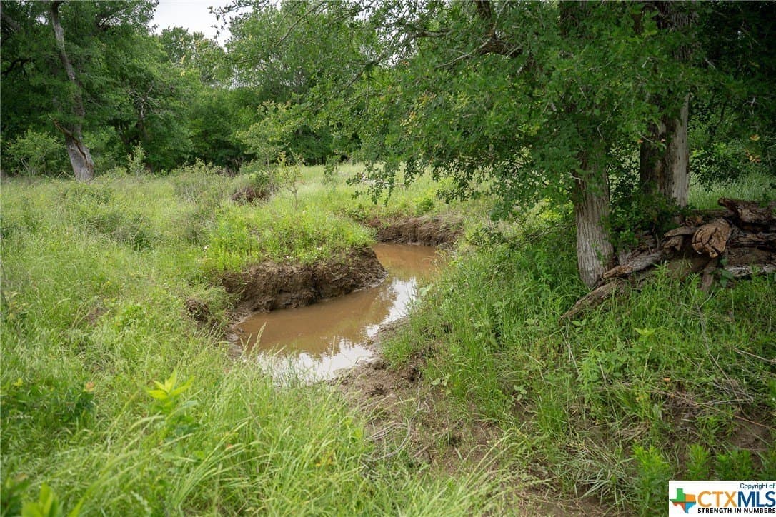 83.23 acres in Williamson County - photo 16