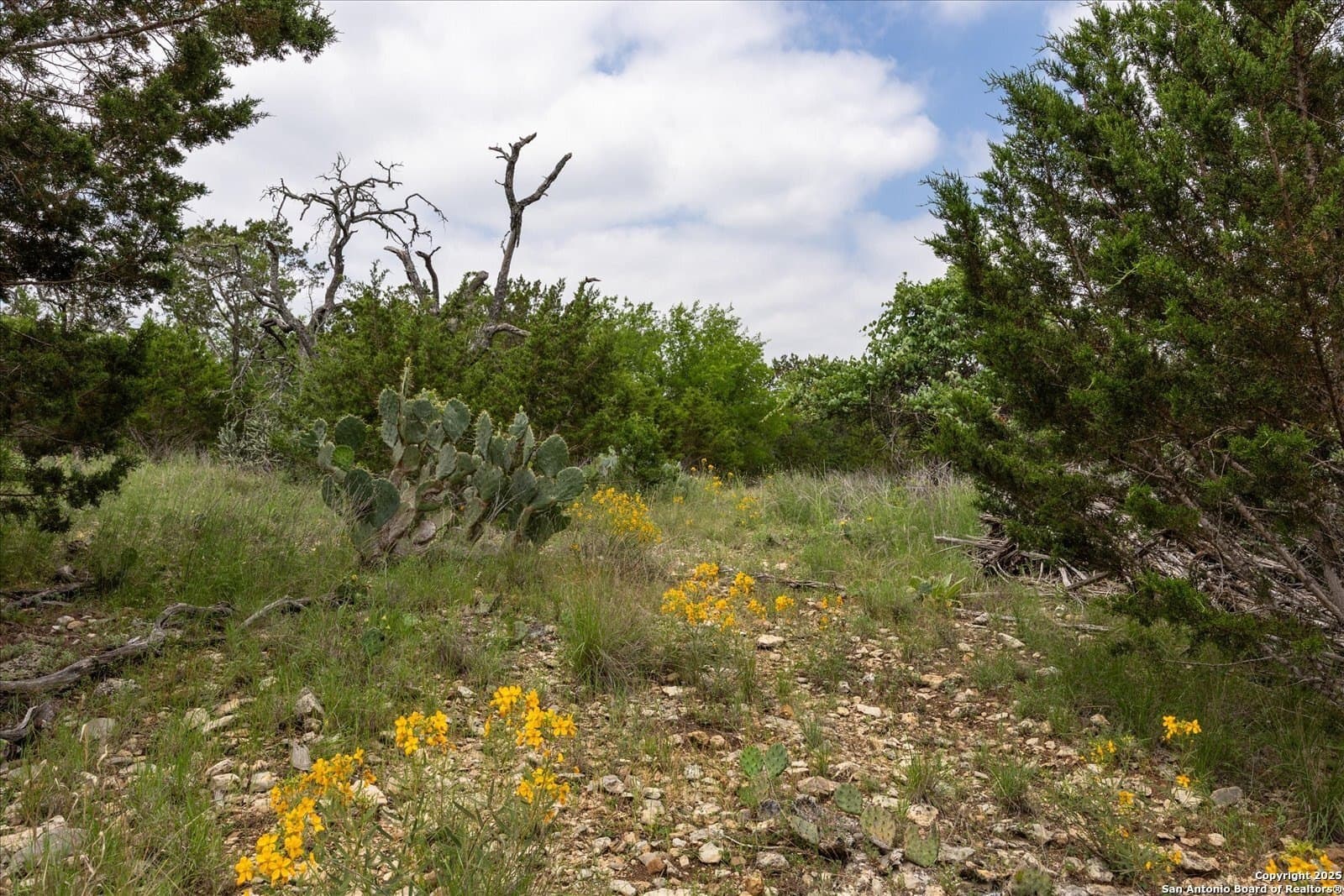 5.18 acres in Bandera County - photo 18