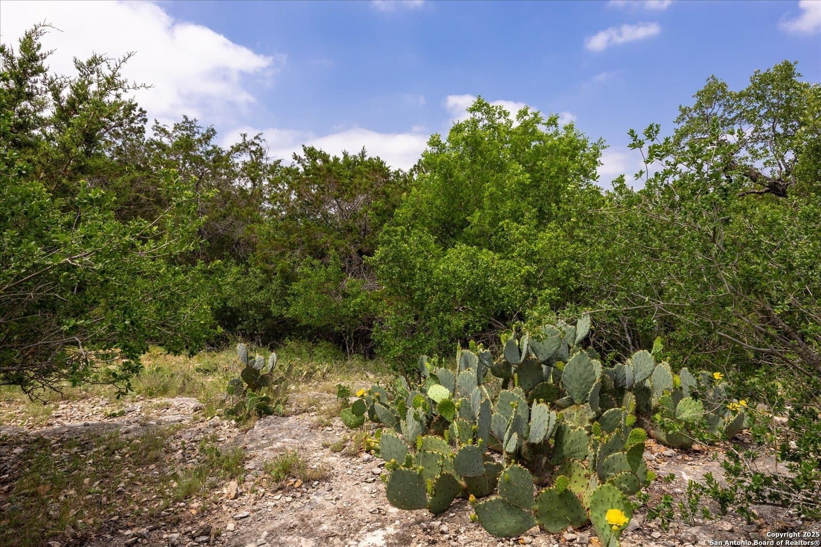 5.18 acres in Bandera County - photo 9