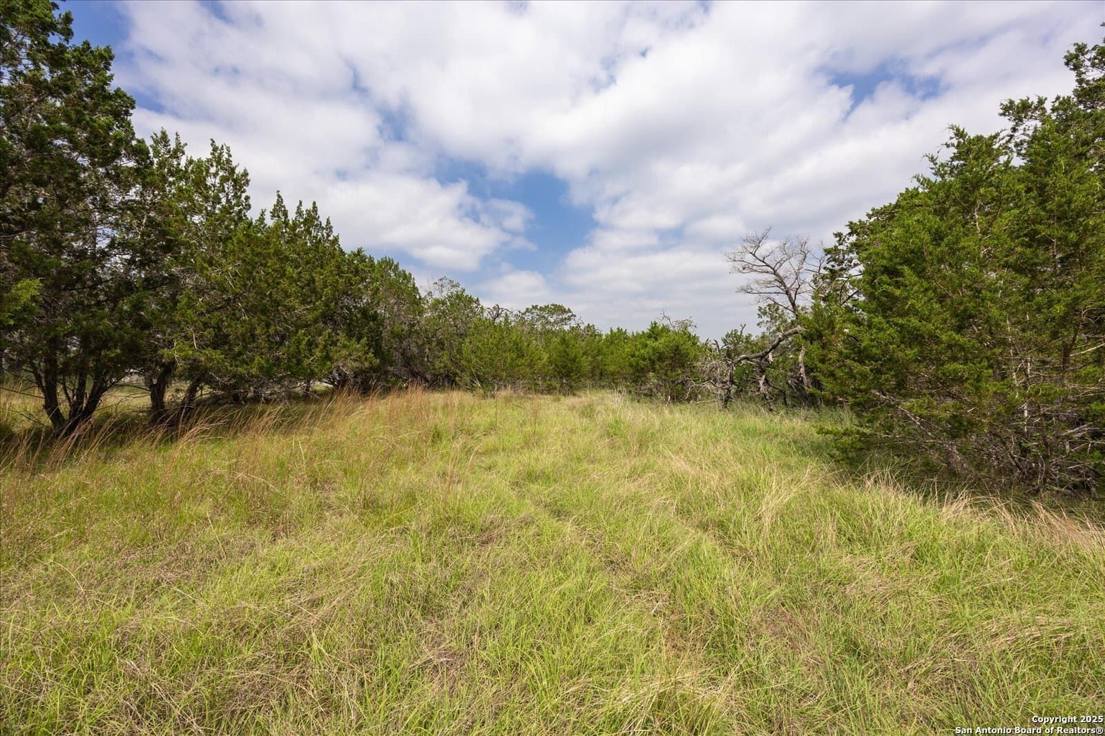 5.18 acres in Bandera County - photo 5
