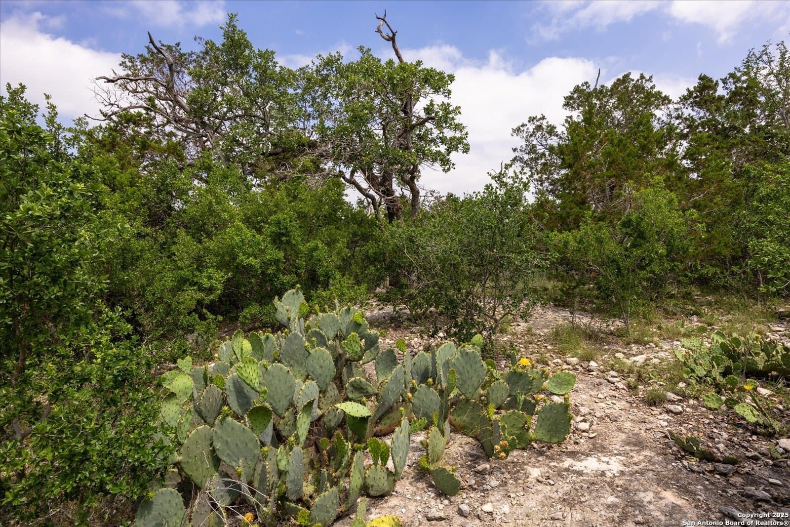 5.18 acres in Bandera County - photo 7