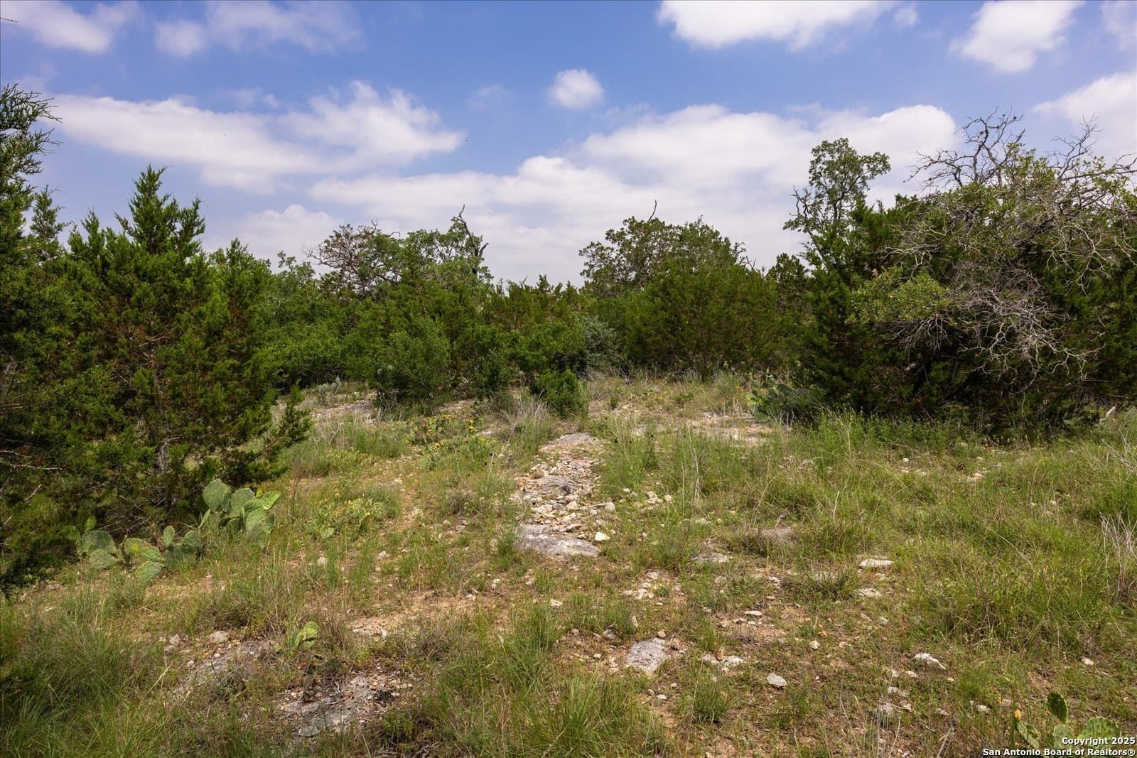 5.18 acres in Bandera County - photo 8