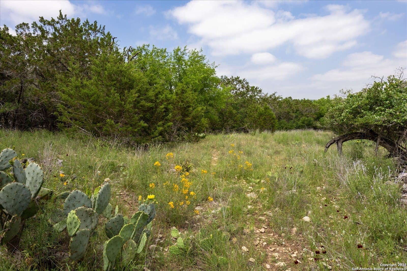 5.18 acres in Bandera County - photo 6