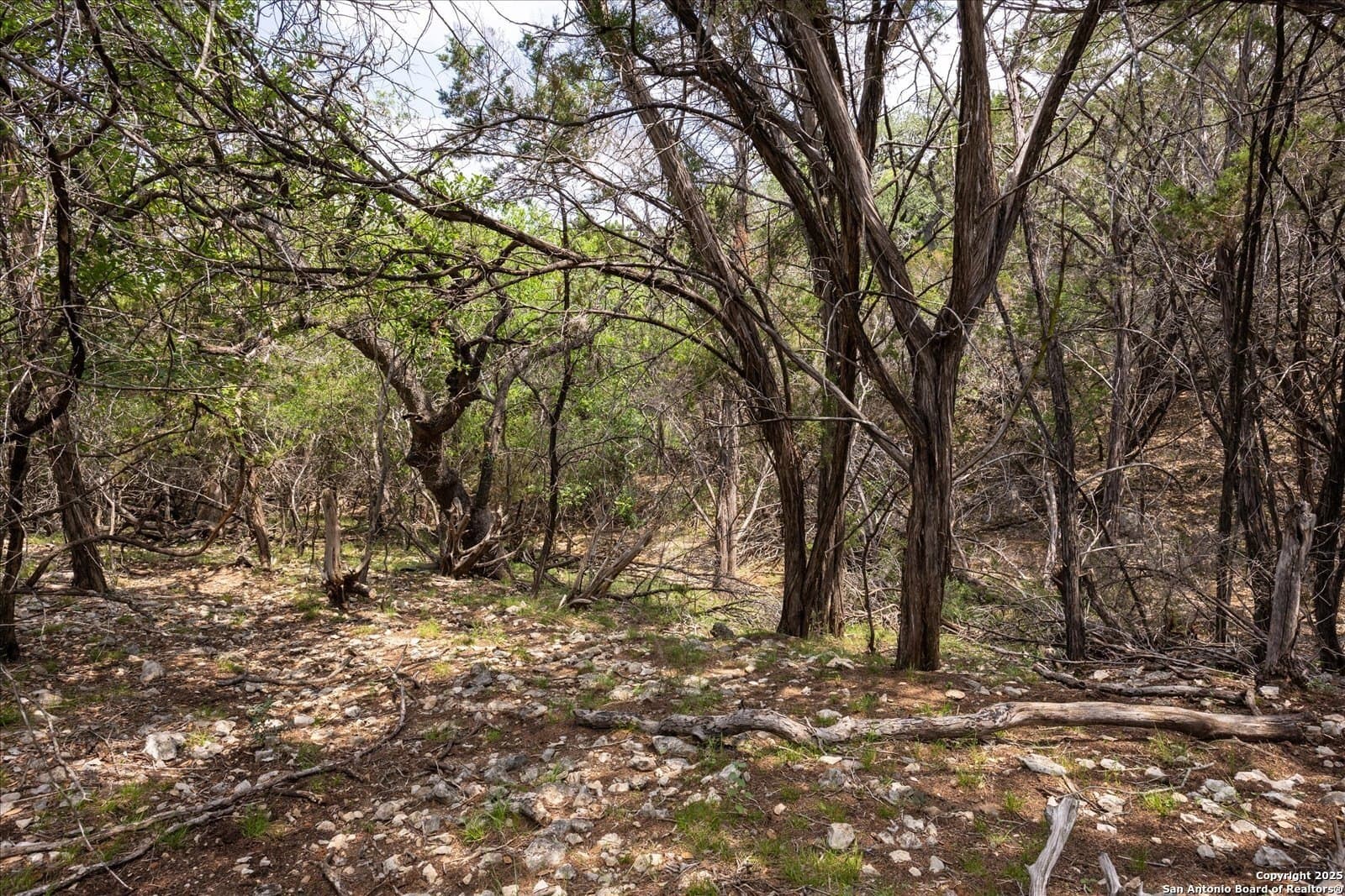 5.18 acres in Bandera County - photo 11