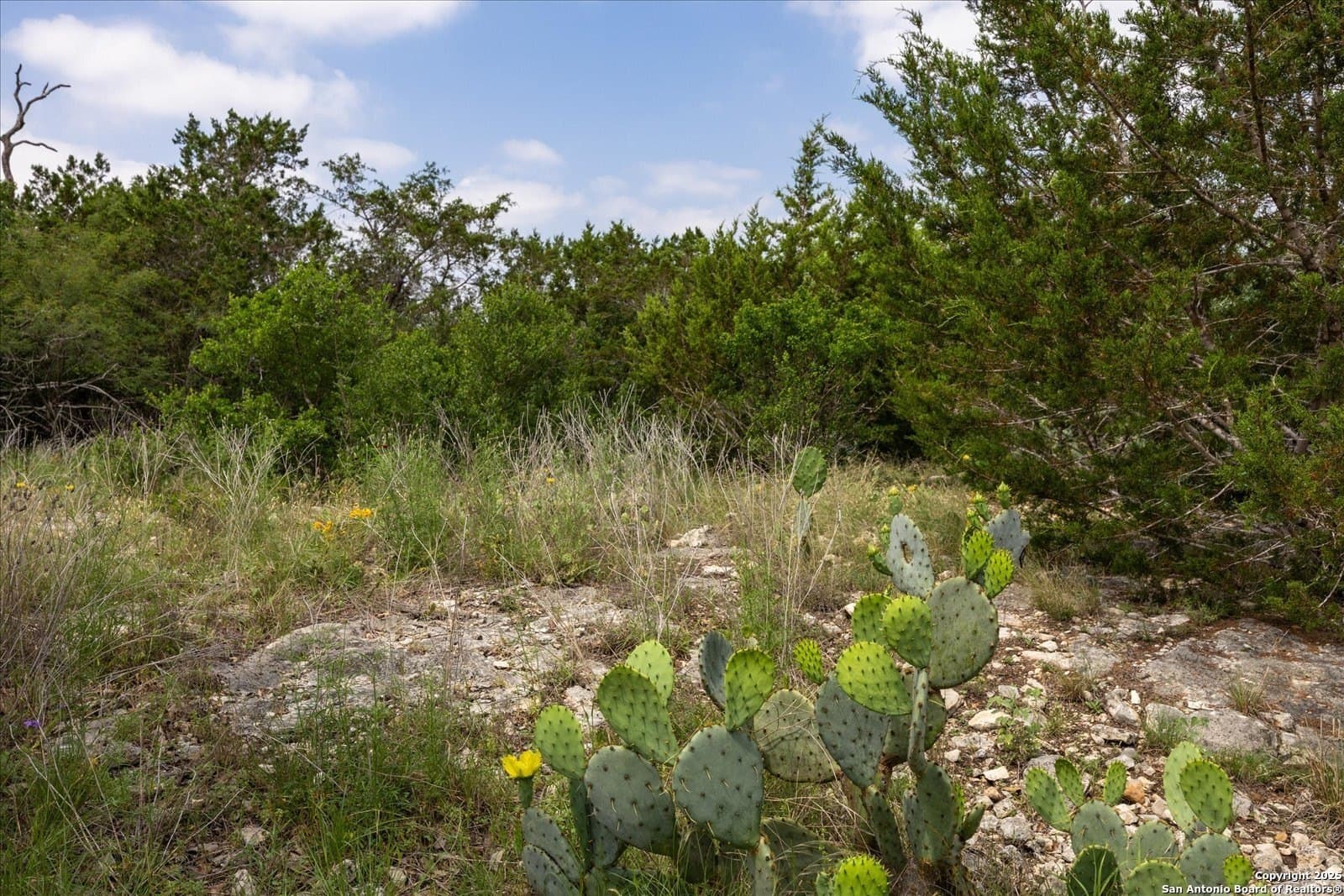 5.18 acres in Bandera County - photo 17