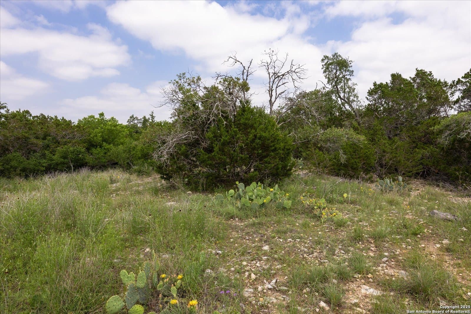 5.18 acres in Bandera County - photo 16