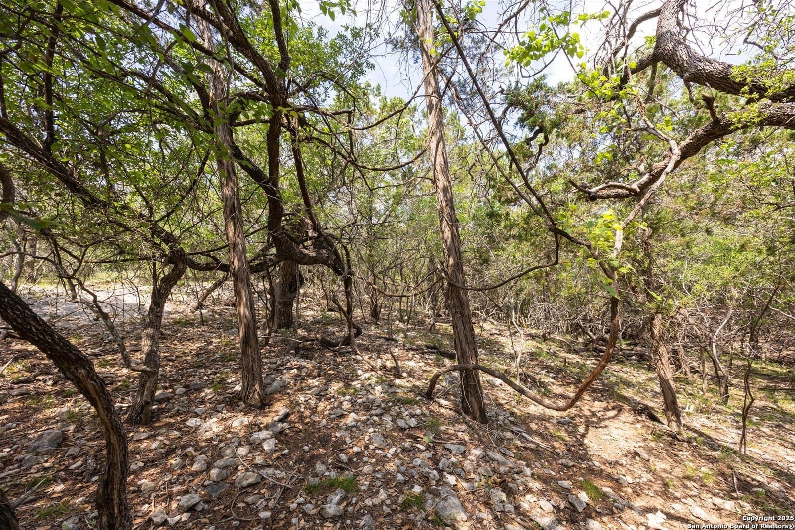 5.18 acres in Bandera County - photo 12