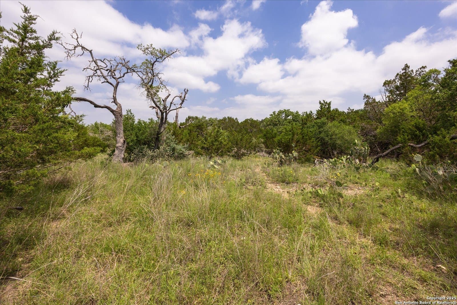 5.18 acres in Bandera County - photo 15