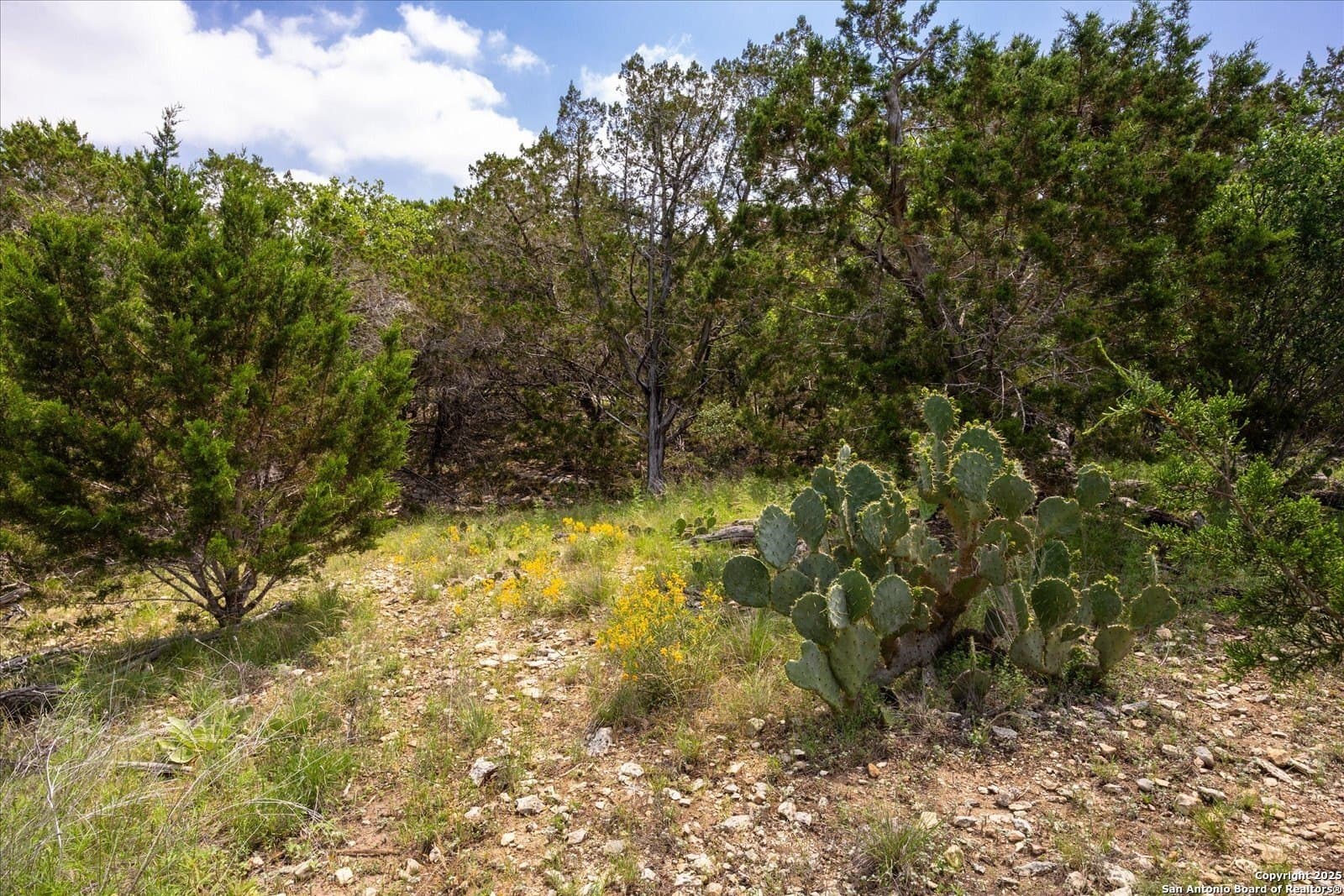 5.18 acres in Bandera County - photo 10