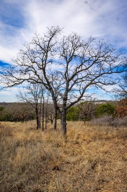 12.78 acres in Young County - photo 36