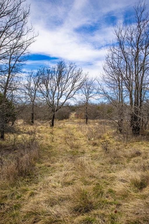 12.78 acres in Young County - photo 33