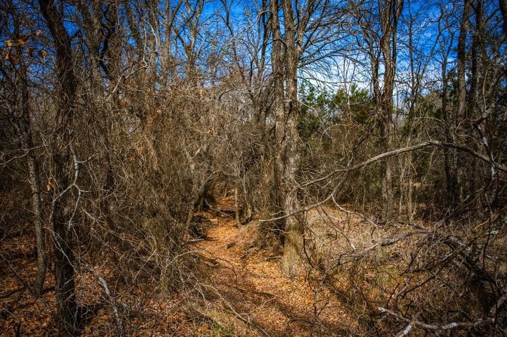 12.78 acres in Young County - photo 28