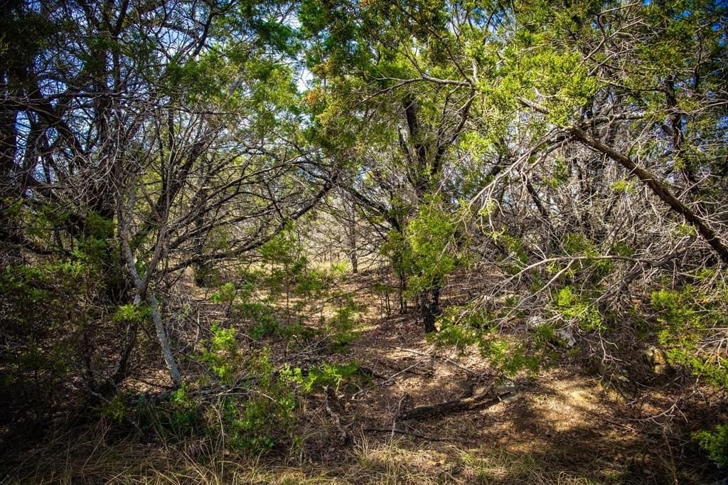 12.78 acres in Young County - photo 24