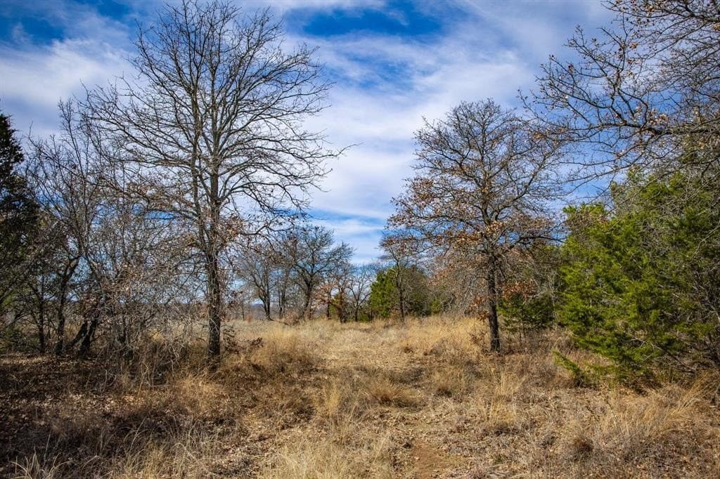 12.78 acres in Young County - photo 38