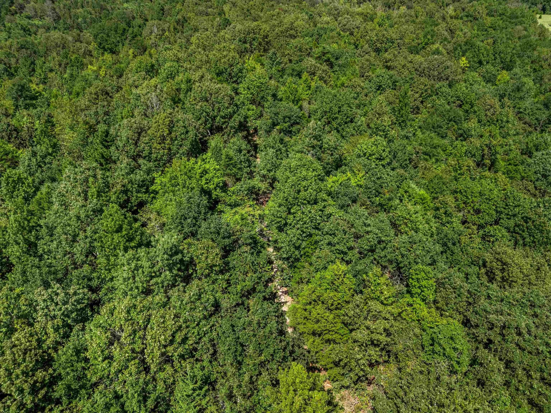 19.33 acres in Texas County - photo 15