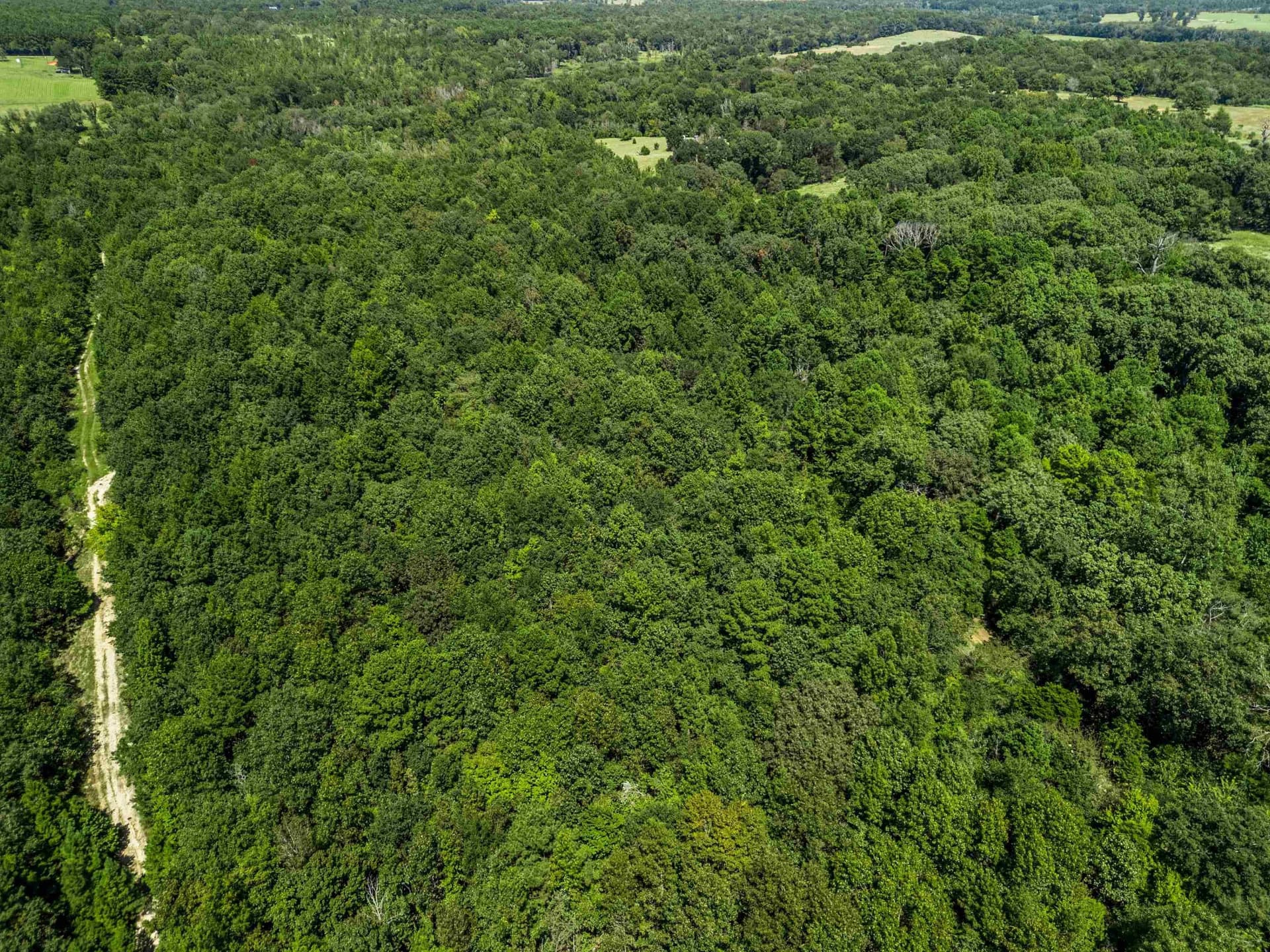 19.33 acres in Texas County - photo 10