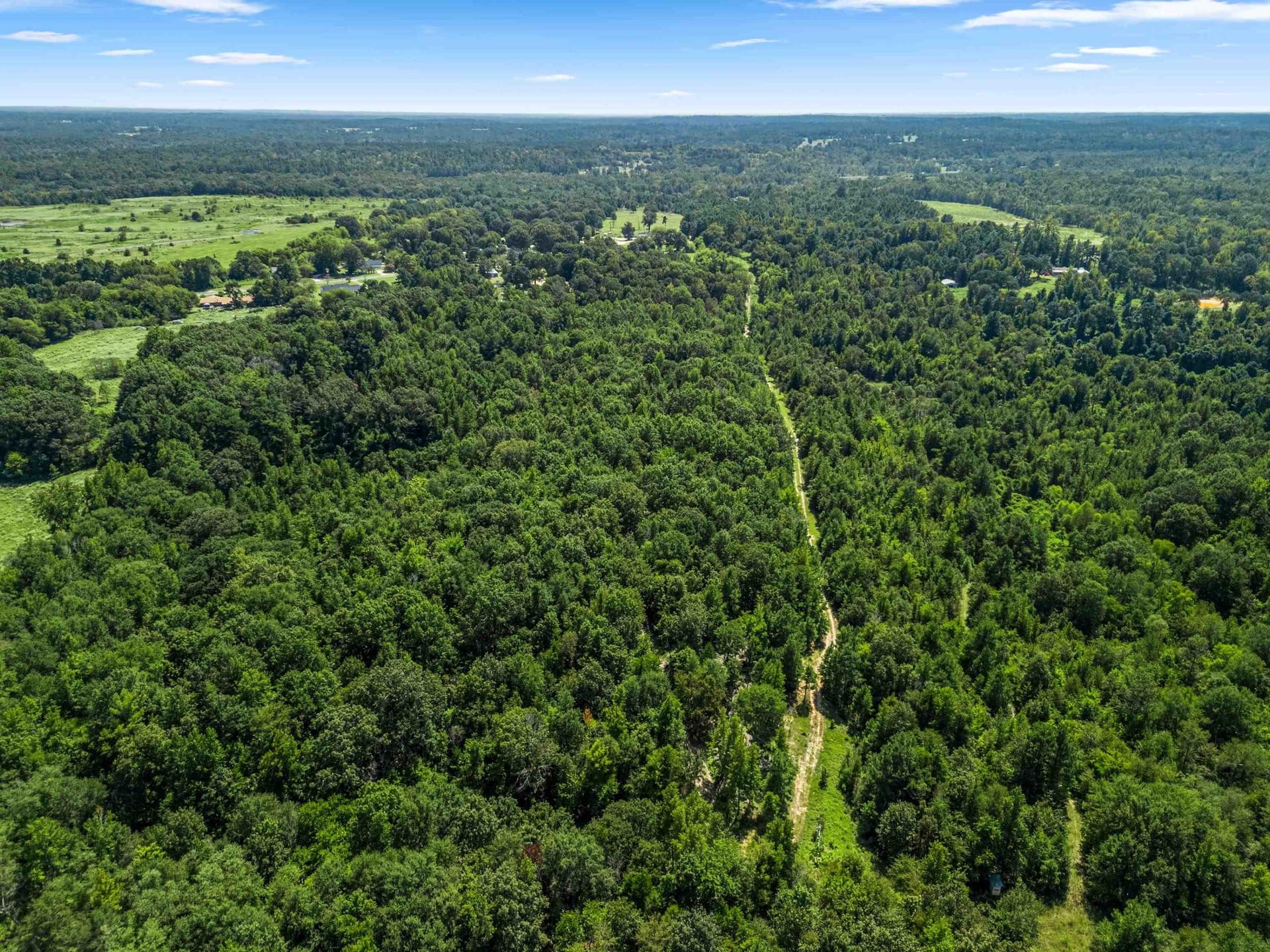 19.33 acres in Texas County - photo 12