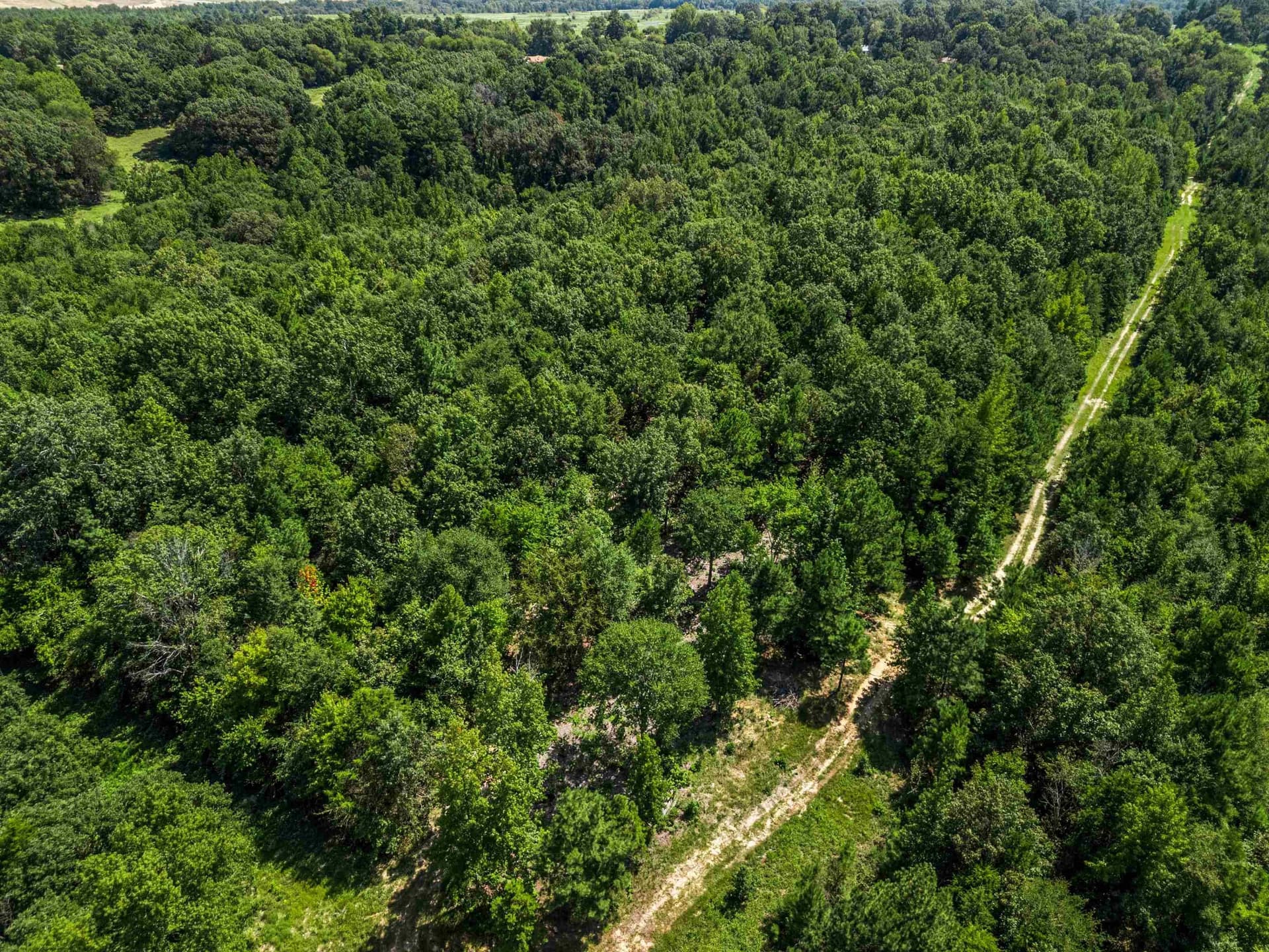 19.33 acres in Texas County - photo 13