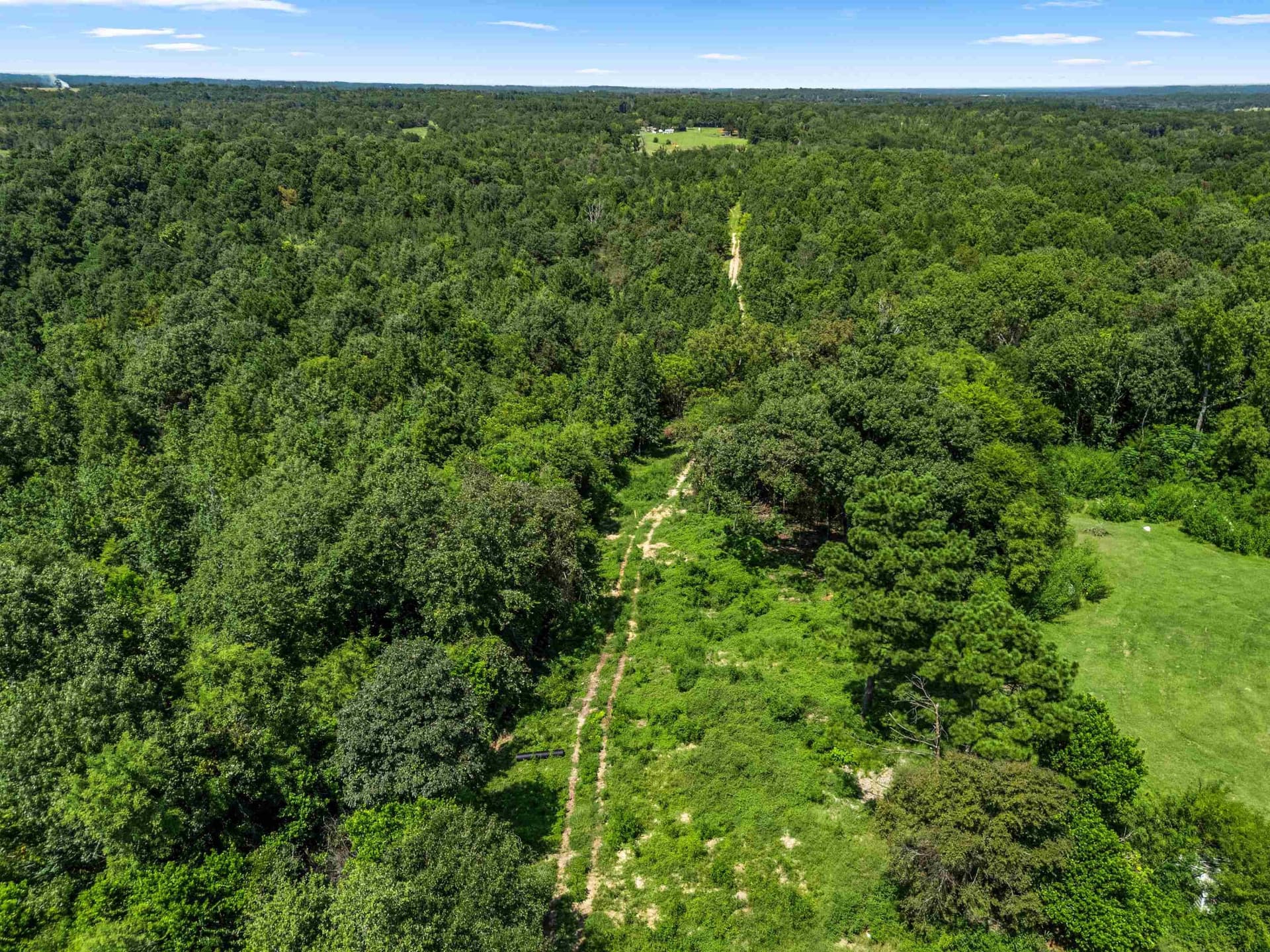 19.33 acres in Texas County - photo 16