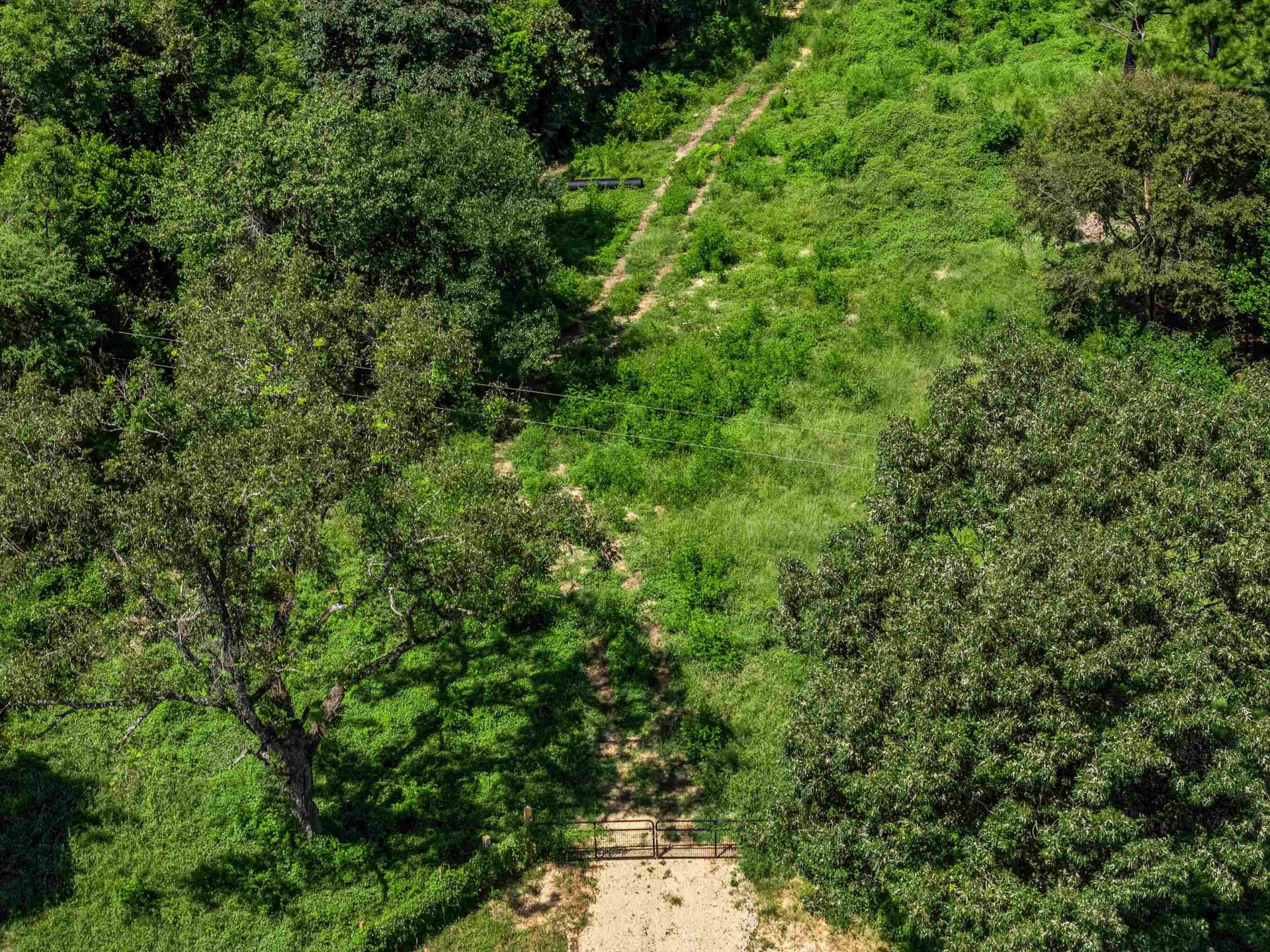 19.33 acres in Texas County - photo 6