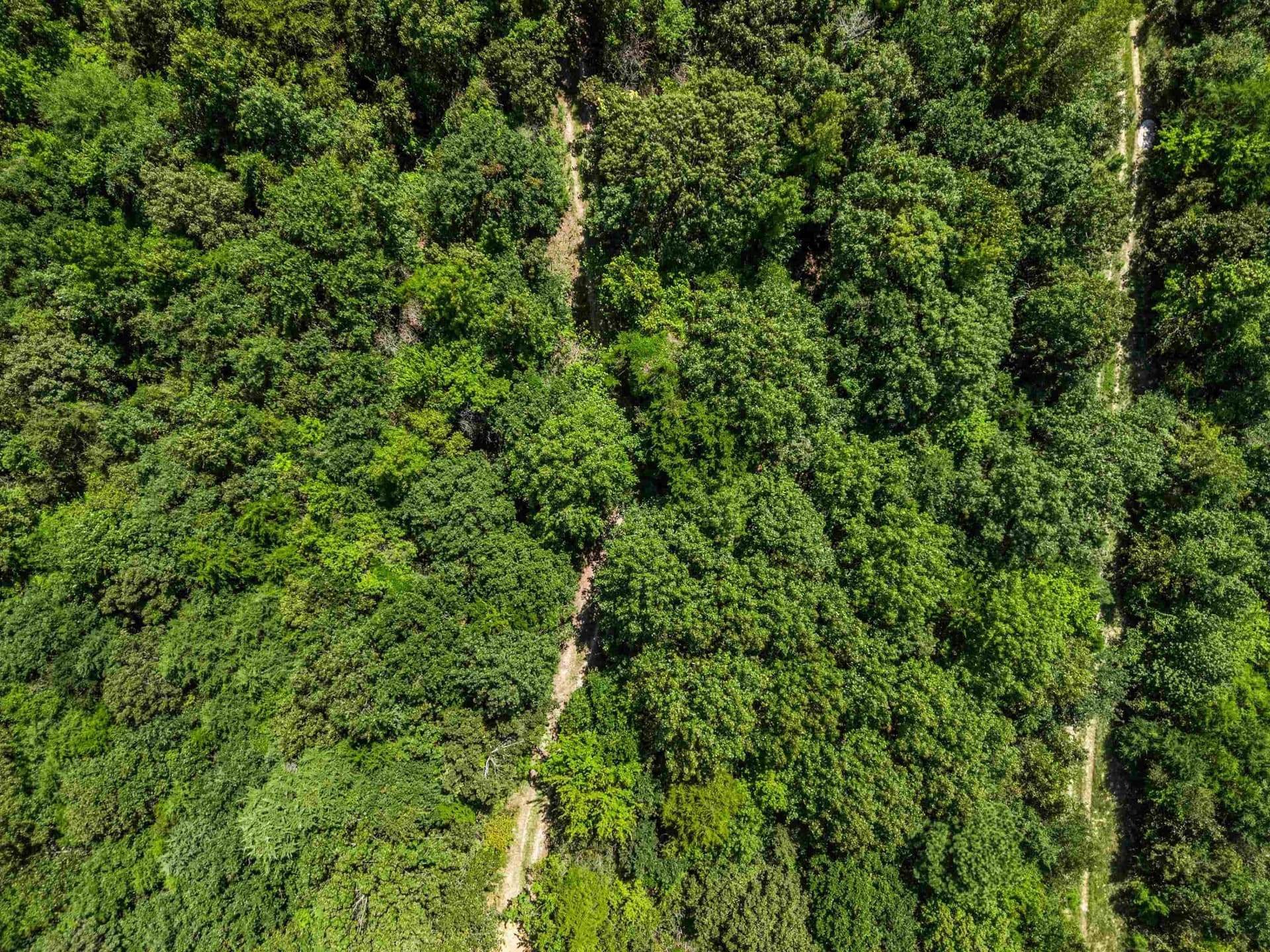 19.33 acres in Texas County - photo 14