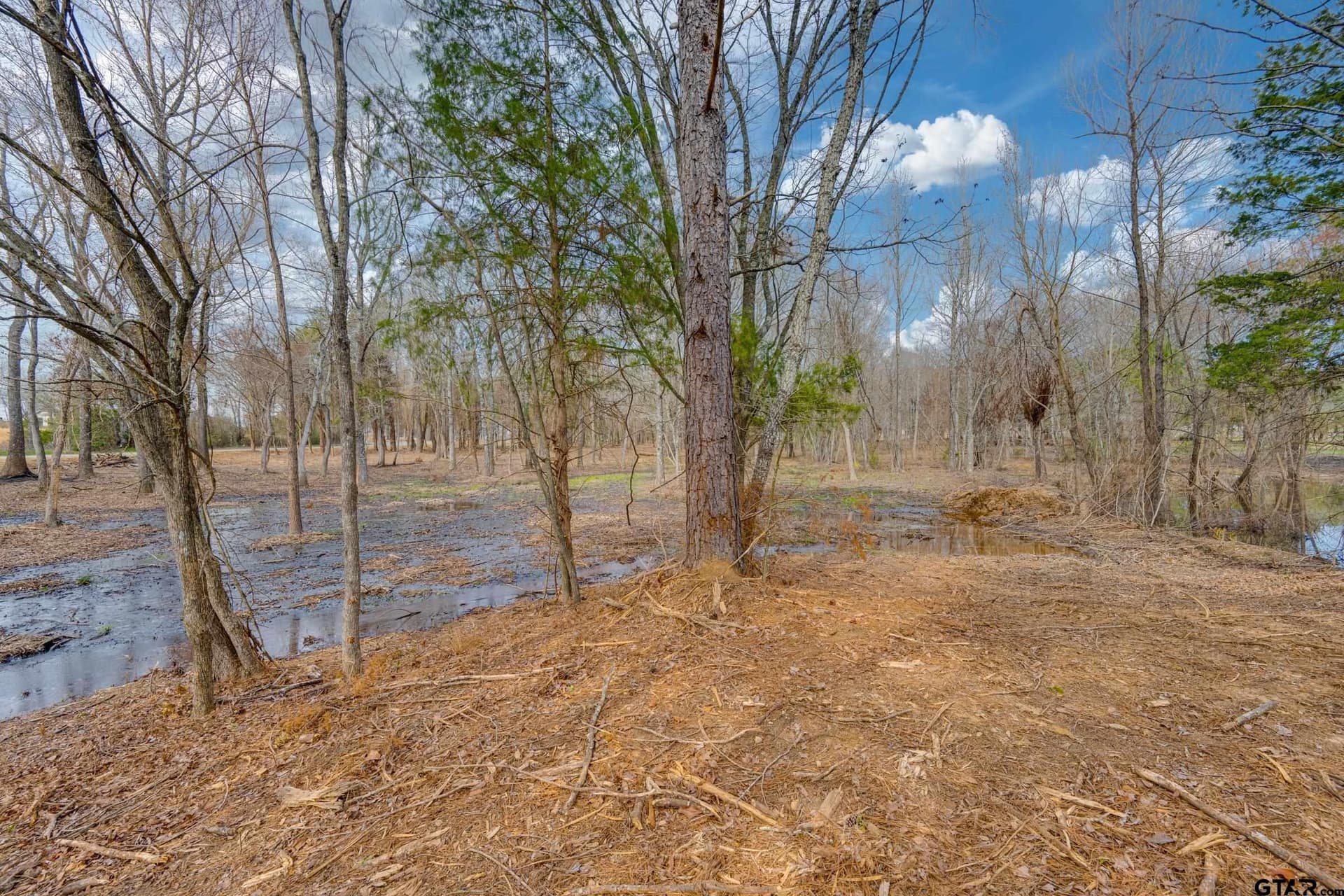 9 acres in Smith County - photo 4