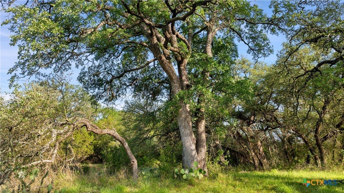 3.38 acres in Blanco County - photo 18