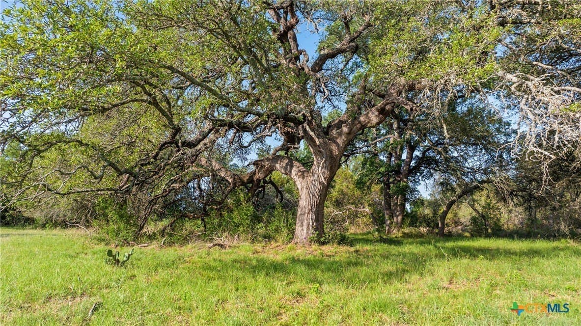 3.38 acres in Blanco County - photo 12