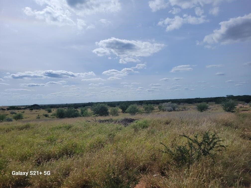 20 acres in WEBB County - photo 4