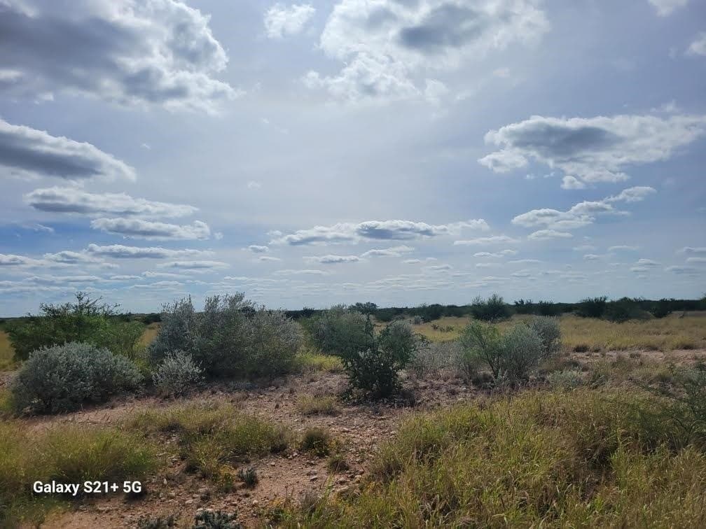 20 acres in WEBB County - photo 7