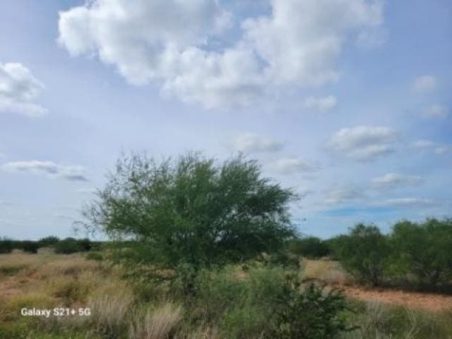 20 acres in WEBB County - photo 9